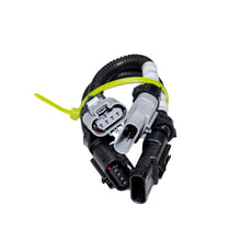 Load image into Gallery viewer, Photo - Primary