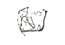 Load image into Gallery viewer, Photo - Unmounted