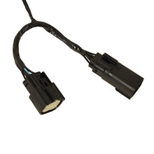 Load image into Gallery viewer, 1036761_1024px_alt2.jpg