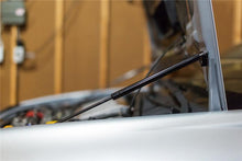 Load image into Gallery viewer, Photo - Primary