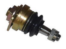 Load image into Gallery viewer, Photo - Primary