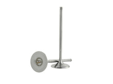 Load image into Gallery viewer, Photo - Unmounted