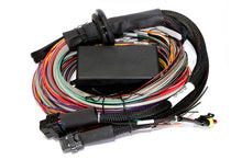 Load image into Gallery viewer, Haltech Elite 2500/2500 T Premium Universal Wire-In Harness - 2.5m (8ft)