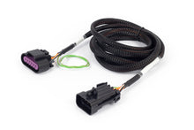 Load image into Gallery viewer, User 1