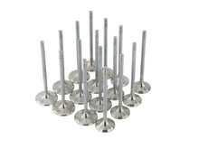 Load image into Gallery viewer, Photo - Unmounted