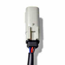 Load image into Gallery viewer, User 1