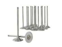 Load image into Gallery viewer, Photo - Unmounted