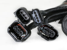 Load image into Gallery viewer, Photo - Unmounted