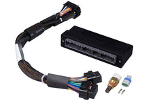 Load image into Gallery viewer, Haltech Elite 1000/1500 Plug-n-Play Adaptor Harness