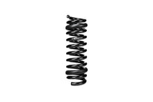 Load image into Gallery viewer, Photo - Close Up