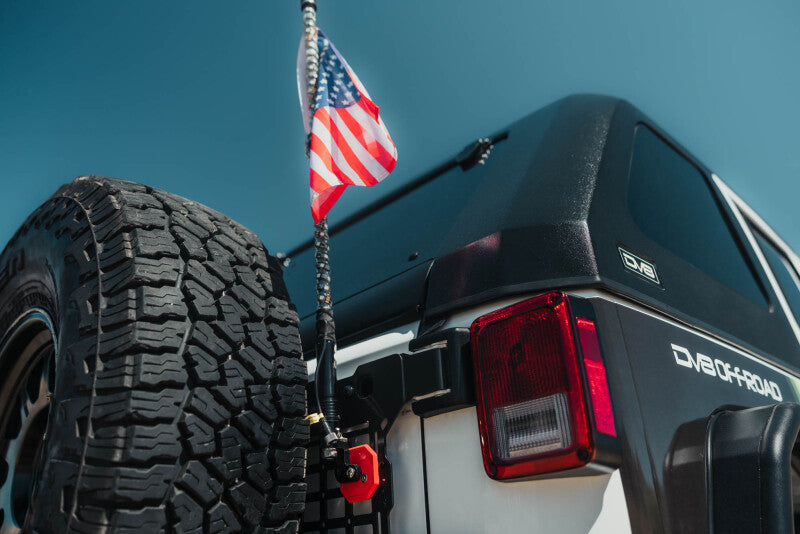 Photo - Close Up