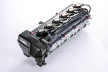 Load image into Gallery viewer, User 1