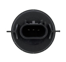 Load image into Gallery viewer, Photo - Close Up