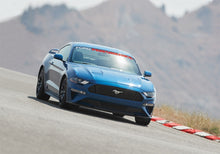 Load image into Gallery viewer, Photo - Mounted