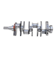 Load image into Gallery viewer, User 1