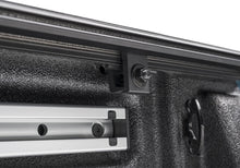 Load image into Gallery viewer, Photo - Close Up