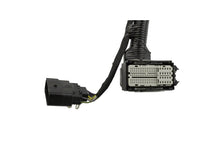 Load image into Gallery viewer, Photo - Unmounted