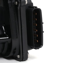 Load image into Gallery viewer, User 1