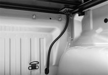 Load image into Gallery viewer, Photo - Mounted