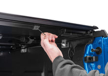 Load image into Gallery viewer, Photo - Close Up